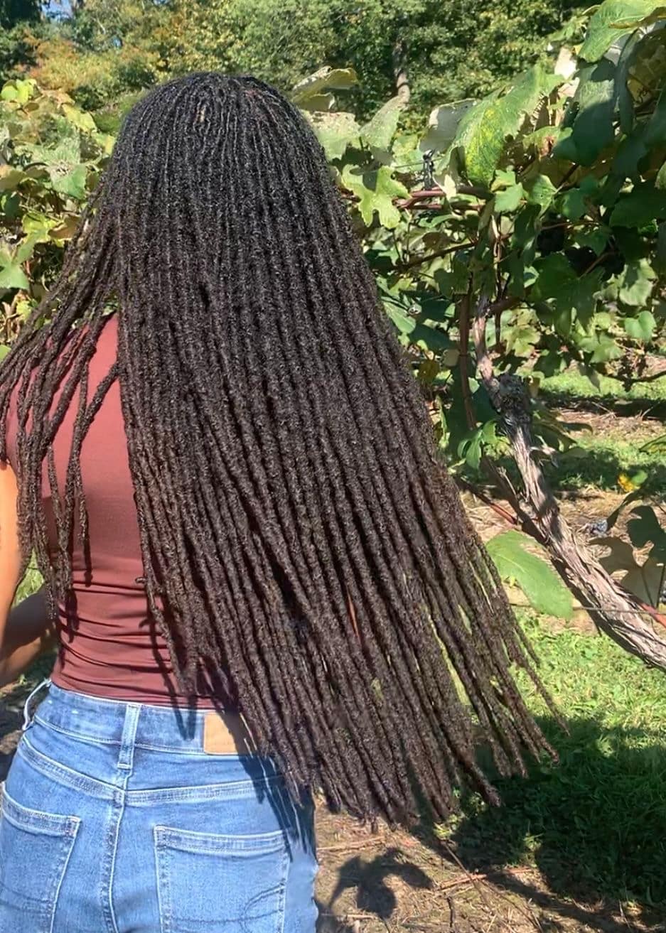 Long Longueur Taille Locs - Image 1